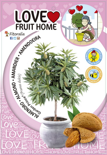 Nueva Colección Frutales Enanos de Fitoralia - El Torruco