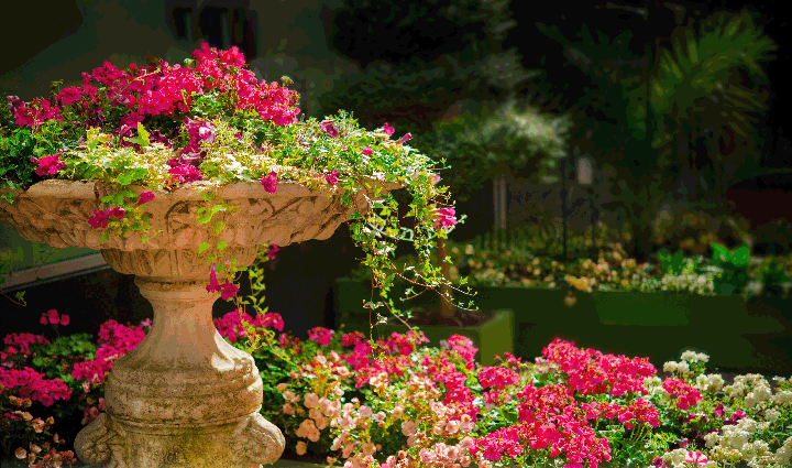 centro de jardineria, el torruco, jardin, vivero, plantas, paisajismo, villanueva de la serena, don benito, badajoz