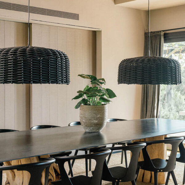 Plantas de interior en centro de jardinería El Torruco