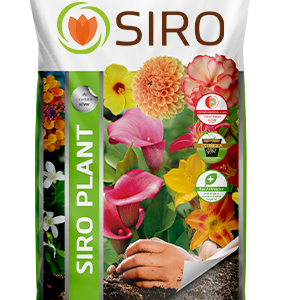sustrato para plantas en macetas